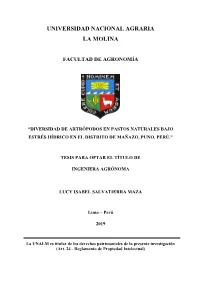 Texto Completo