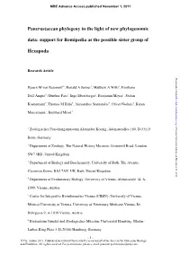Pancrustacean Phylogeny in the Light of New Phylogenomic Data