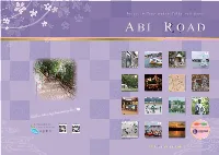 A Bi Oad a Bi Road