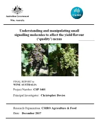 Final Report Dec 2017