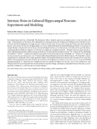 Intrinsic Noise in Cultured Hippocampal Neurons: Experiment and Modeling