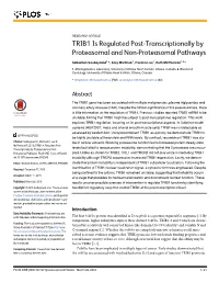 TRIB1 Is Regulated Post-Transcriptionally by Proteasomal and Non-Proteasomal Pathways