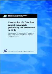 Construction of a Fixed Link Across Fehmarnbelt: Preliminary Risk Assessment on Birds