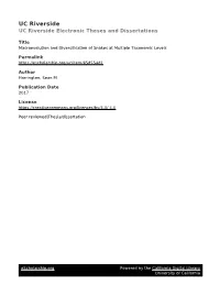 UC Riverside UC Riverside Electronic Theses and Dissertations