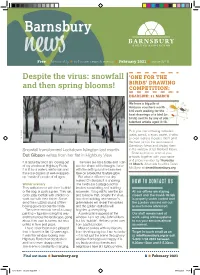 Despite the Virus: Snowfall and Then Spring Blooms!