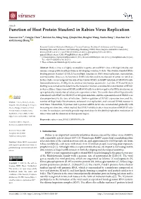 Function of Host Protein Staufen1 in Rabies Virus Replication
