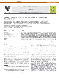 Multiple Cyclophilins Involved in Different Cellular Pathways Mediate HCV Replication☆