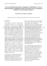 Notes on Phyllodactylus Palmeus (Squamata; Gekkonidae); a Case Of