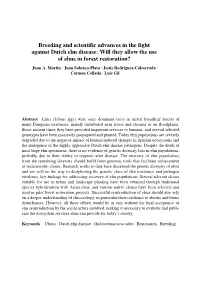 Breeding and Scientific Advances in the Fight Against Dutch Elm Disease: Will They Allow the Use of Elms in Forest Restoration? Juan A