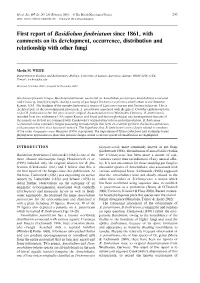 First Report of Basidiolum Fimbriatum Since 1861, with Comments on Its