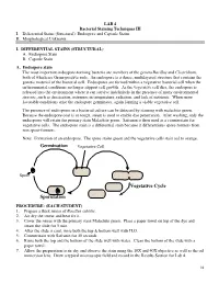 Germination Sporulation Vegetative Cycle