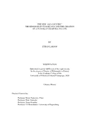 LARSON-DISSERTATION-2020.Pdf