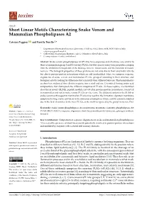 Short Linear Motifs Characterizing Snake Venom and Mammalian Phospholipases A2