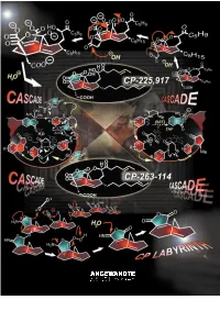 A Paradigm of How Endeavors in Total Synthesis Lead to Discoveries and Inventions in Organic Synthesis