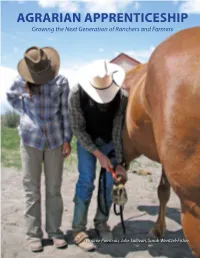 Agrarian Apprentice LR