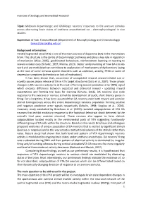 Midbrain Dopaminergic and Gabaergic Neurons' Responses To