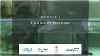 MODULE 1 Choice of Species Goa Ls
