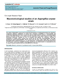 Mycotoxicological Studies of an Aspergillus Oryzae Strain