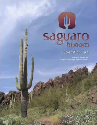 Saguaro Springs Specific Plan Was Adopted in 2005