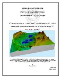 Shemelis Fikre.Pdf