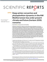 Deep Winter Convection and Phytoplankton Dynamics In