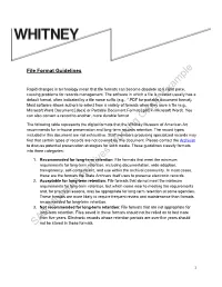 File Format Guidelines