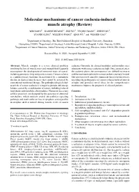 Molecular Mechanisms of Cancer Cachexia‑Induced Muscle Atrophy (Review)