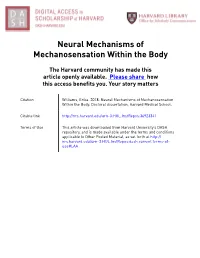 Neural Mechanisms of Mechanosensation Within the Body