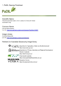 1. Padil Species Factsheet Scientific Name: Common Name Image