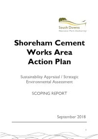 Shoreham Cement Works Area Action Plan
