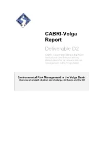 CABRI-Volga Report Deliverable D2