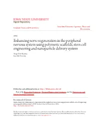 Enhancing Nerve Regeneration in the Peripheral Nervous System Using