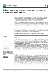 Culturable Microorganisms Associated with Sea Cucumbers and Microbial Natural Products