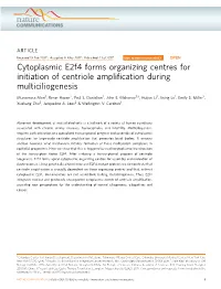 Cytoplasmic E2f4 Forms Organizing Centres for Initiation of Centriole Ampliﬁcation During Multiciliogenesis