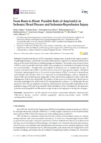 From Brain to Heart: Possible Role of Amyloid-Β in Ischemic Heart Disease and Ischemia-Reperfusion Injury