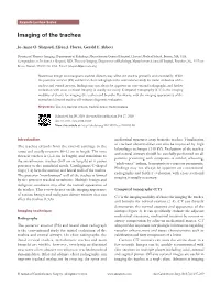 Imaging of the Trachea