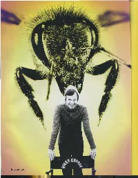 30 MENTAL FLOSS • HOW ROGER CORMAN REVOLUTIONIZED Cl EMA by IAN LENDLER