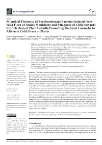 Microbial Diversity of Psychrotolerant Bacteria Isolated from Wild Flora Of
