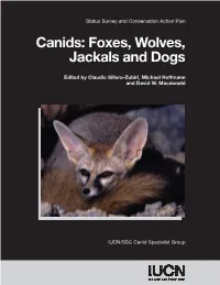 Canids: Status Survey and Conservation Action Plan