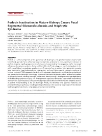 Podocin Inactivation in Mature Kidneys Causes Focal Segmental Glomerulosclerosis and Nephrotic Syndrome