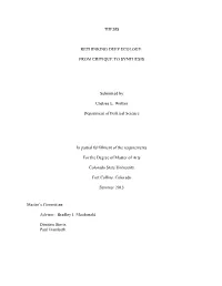 Thesis Rethinking Deep Ecology