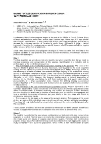 Marine Turtles Identification in French Guiana : Why, Where and How ?