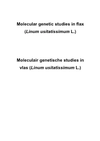 Molecular Genetic Studies in Flax (Linum Usitatissimum L.)
