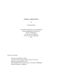 Out-Siders: Auteurs in Place by Nathan B. Koob a Dissertation