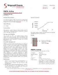 PDE7A, Active PDE7A, Active