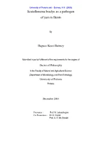 Scutellonema Bradys As a Pathogen of Yam in Benin