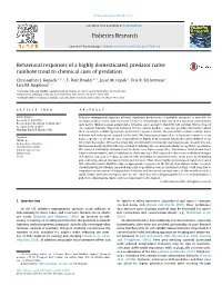 Behavioral Responses of a Highly Domesticated, Predator Naïve Rainbow Trout to Chemical Cues of Predation