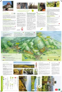 Les Vignobles De La Porte