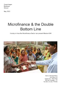 Microfinance & the Double Bottom Line