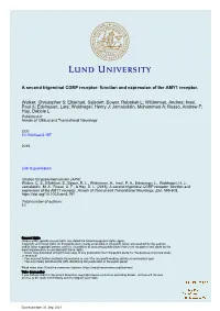 A Second Trigeminal CGRP Receptor: Function and Expression of the AMY1 Receptor